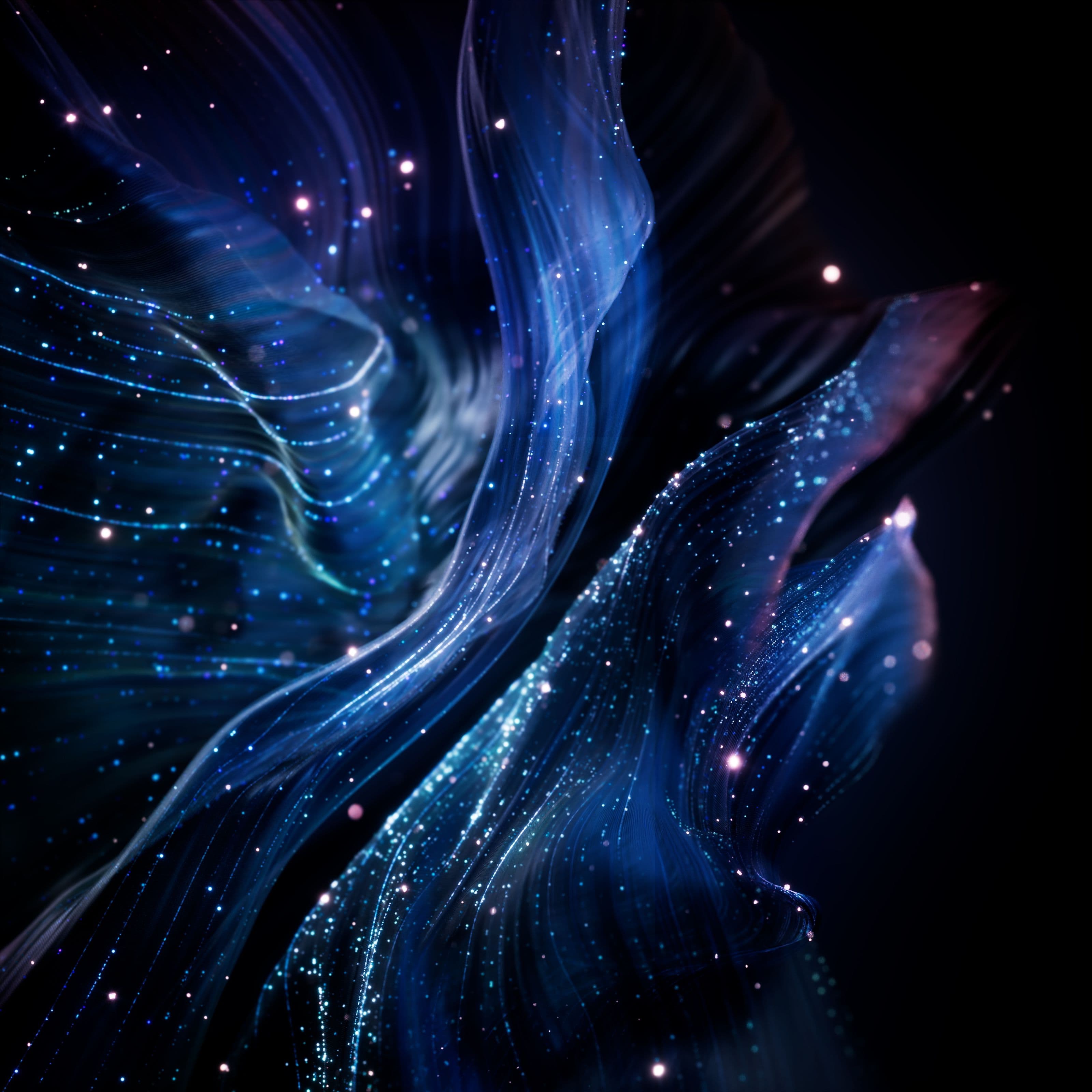 WALLPAPERS REEL